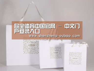 项目名称十一