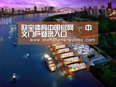 案例展示八